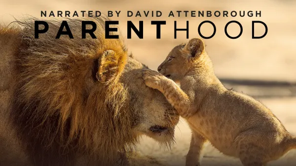 Avara luonto: Eläinten perhe-elämää