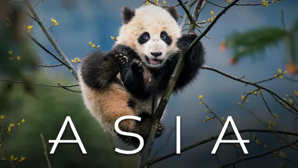 Avara luonto: Ihmeellinen Aasia