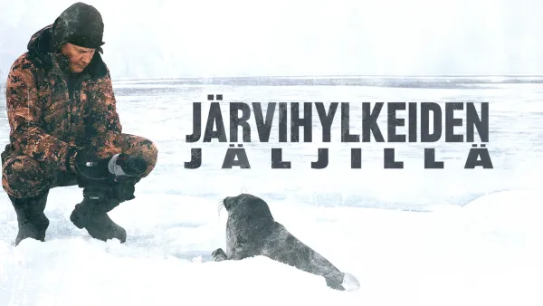 Avara luonto: Järvihylkeiden jäljillä