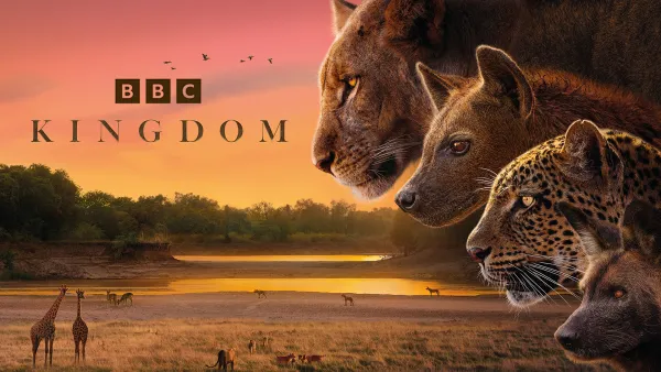 Avara luonto: Laakson valtiaat