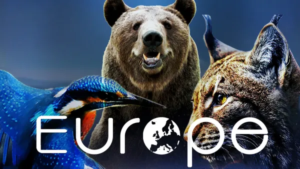 Avara luonto: Monimuotoinen Eurooppa