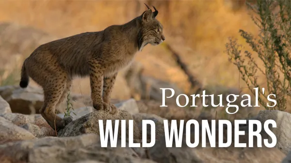 Avara luonto: Portugalin luonnon aarteet