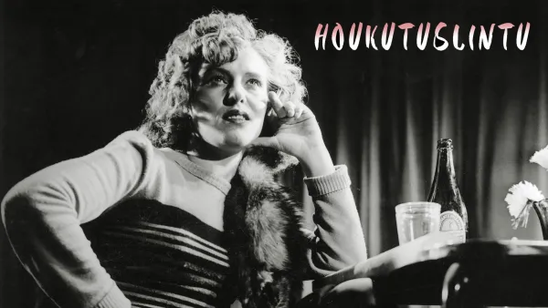 Houkutuslintu