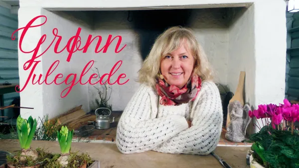 Jouluiloa puutarhasta