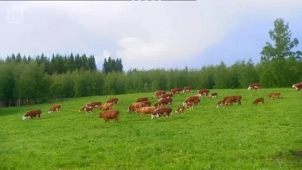 Kansallismaisemat: Väisälänmäki