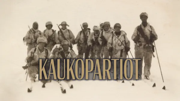 Kaukopartiot