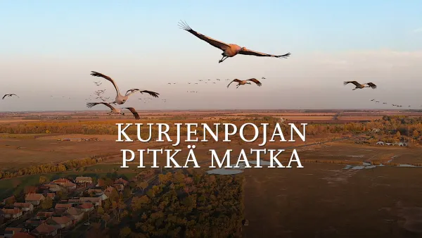 Kurjenpojan pitkä matka