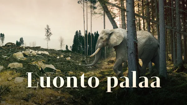 Luonto palaa