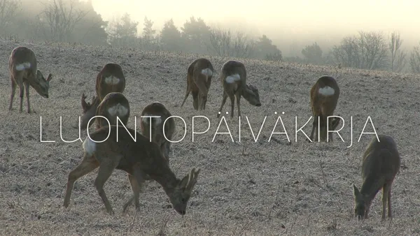 Luontopäiväkirja