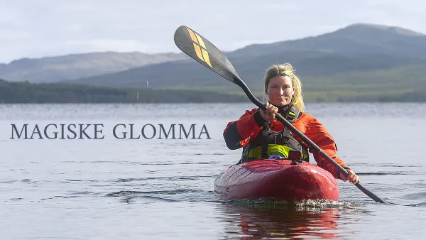 Maaginen Glomma