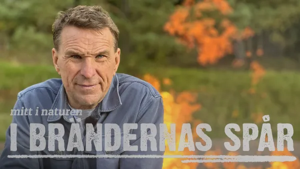 Maastopalojen jäljillä