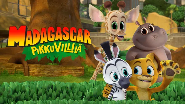 Madagascar: Pikkuvillilä