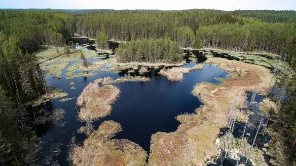 Majavalammen vieraat