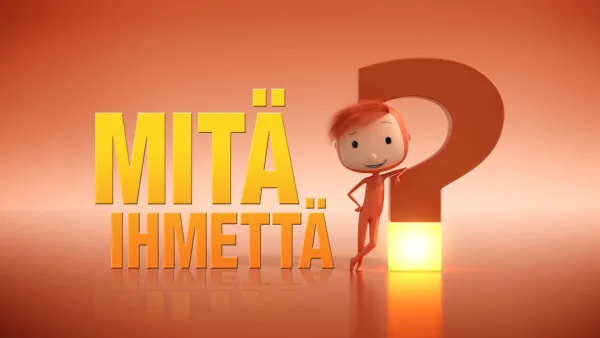 Mitä ihmettä?