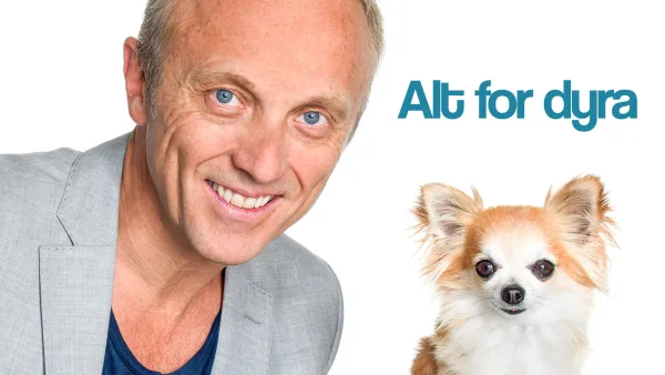 Mitä vain vuoksesi, lemmikkini