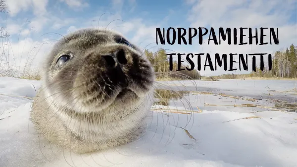 Norppamiehen testamentti