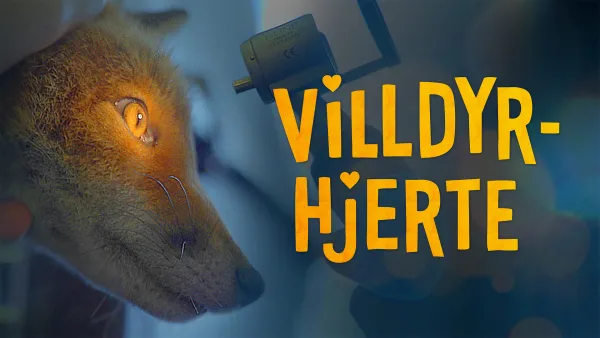 Pelastetaan villieläimet