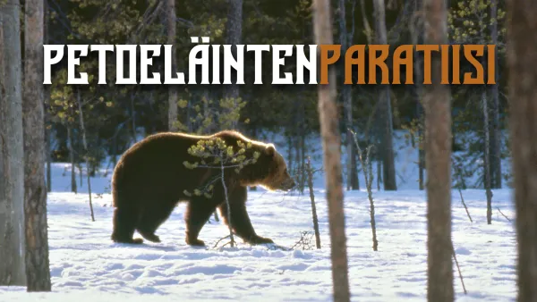 Petoeläinten paratiisi