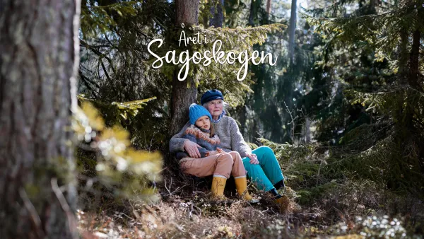 Satumetsän vuosi