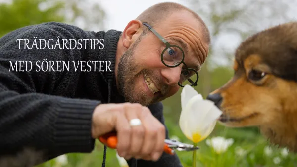 Søren Vesterin puutarhavinkit