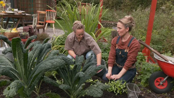 Strömsö: Satokauden parhaat palat