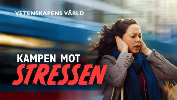Taistelu stressiä vastaan