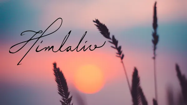 Taivaallista menoa