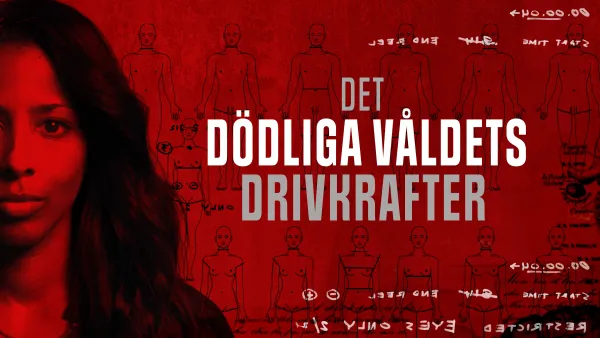 Tappavan väkivallan motiivit