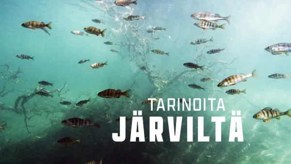Tarinoita järviltä