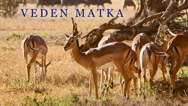 Veden matka