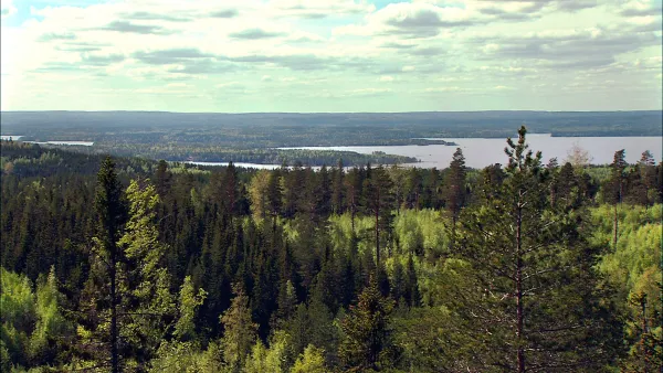 Veden saartamat: Pielinen