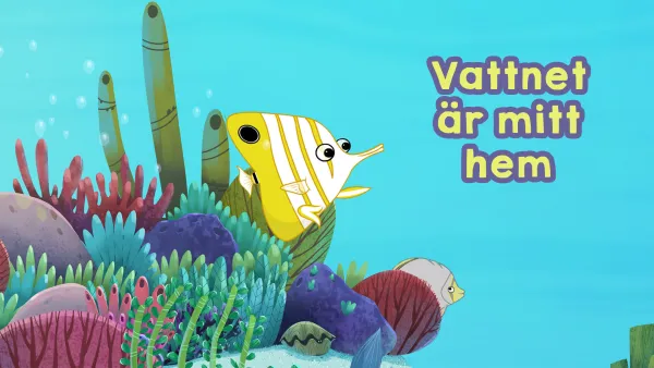 Vedenalaisen maailman asukkaita