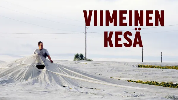 Viimeinen kesä