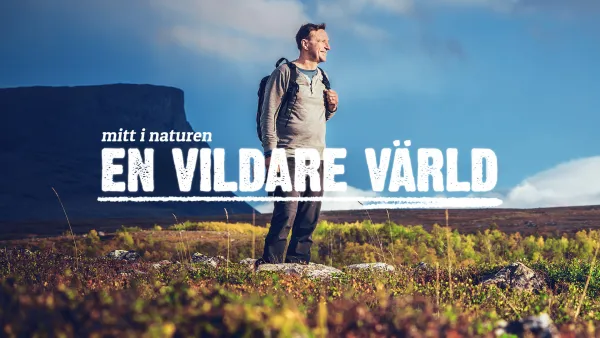 Villimpi maailma