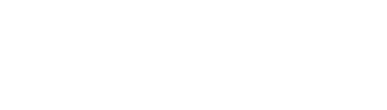 Car Chase