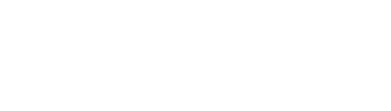 Iron Chef
