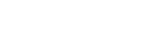 Reno 911
