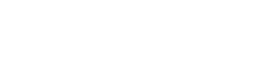 Ruutu Burgerimies