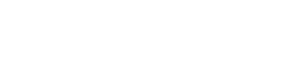 Ruutu Poliisit